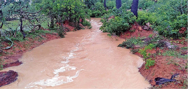 மேல கண்மாய் வாய்க்கால்