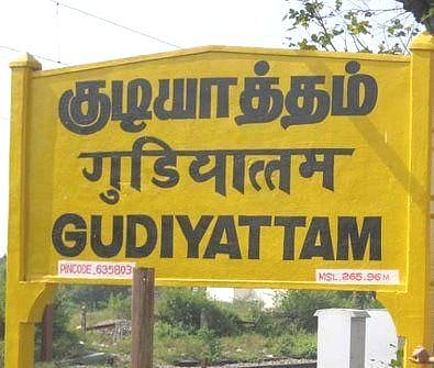 குடியாத்தம்: தேனீக்கள் கொட்டி ஒருவர் மரணம்; 12 பேருக்கு தீவிர சிகிச்சை... என்ன நடந்தது?