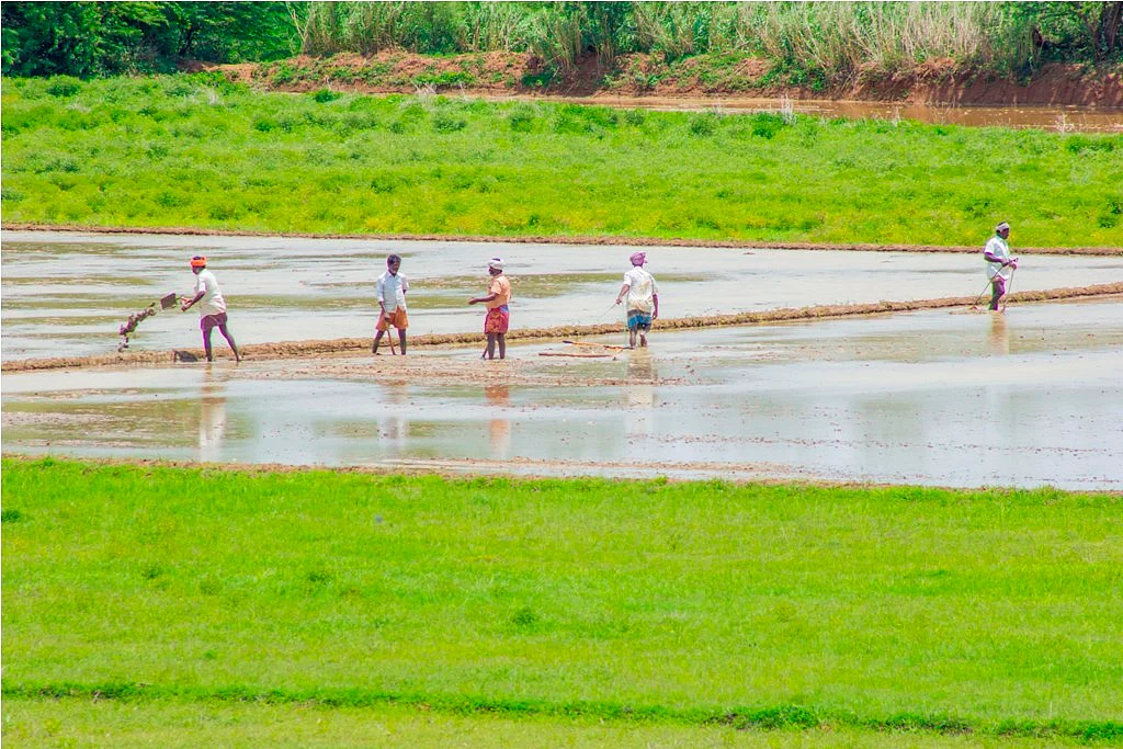 விவசாயம்