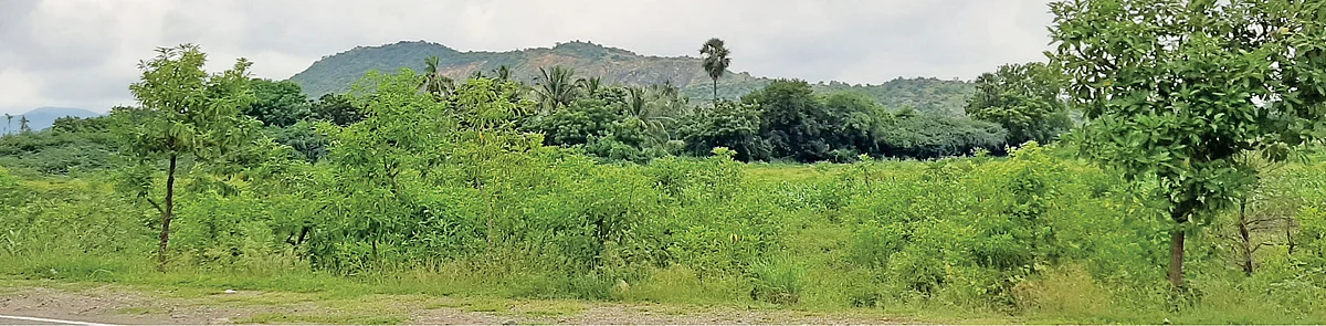 சுற்றுச்சூழல்