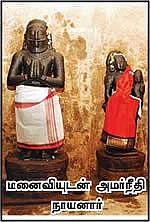 அமர்நீதியார்
