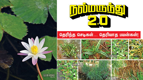 நல்மருந்து 2.0