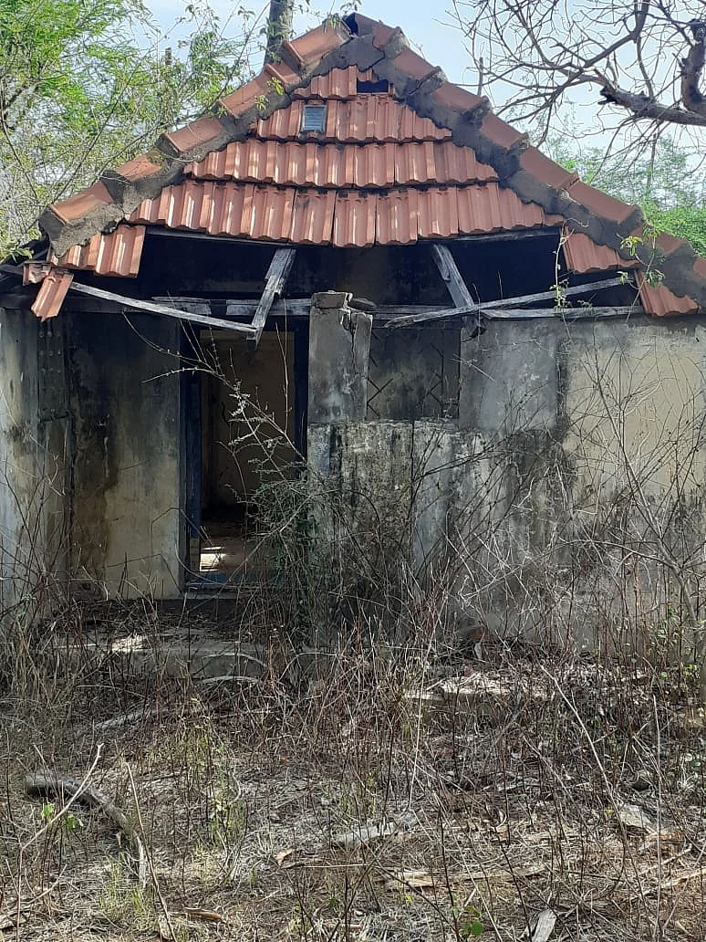 தோட்டத்திலுள்ள வீடு