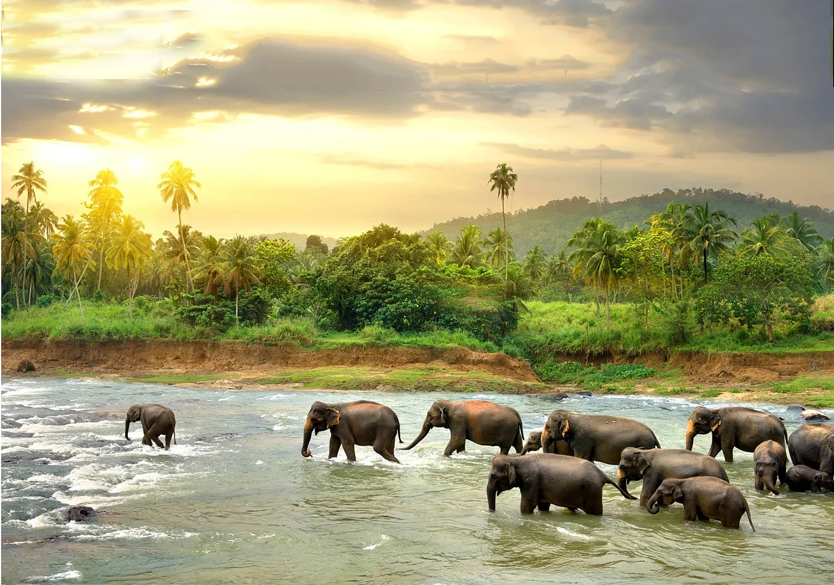 தீரா உலா: எமது இலங்கைச் செலவு!
