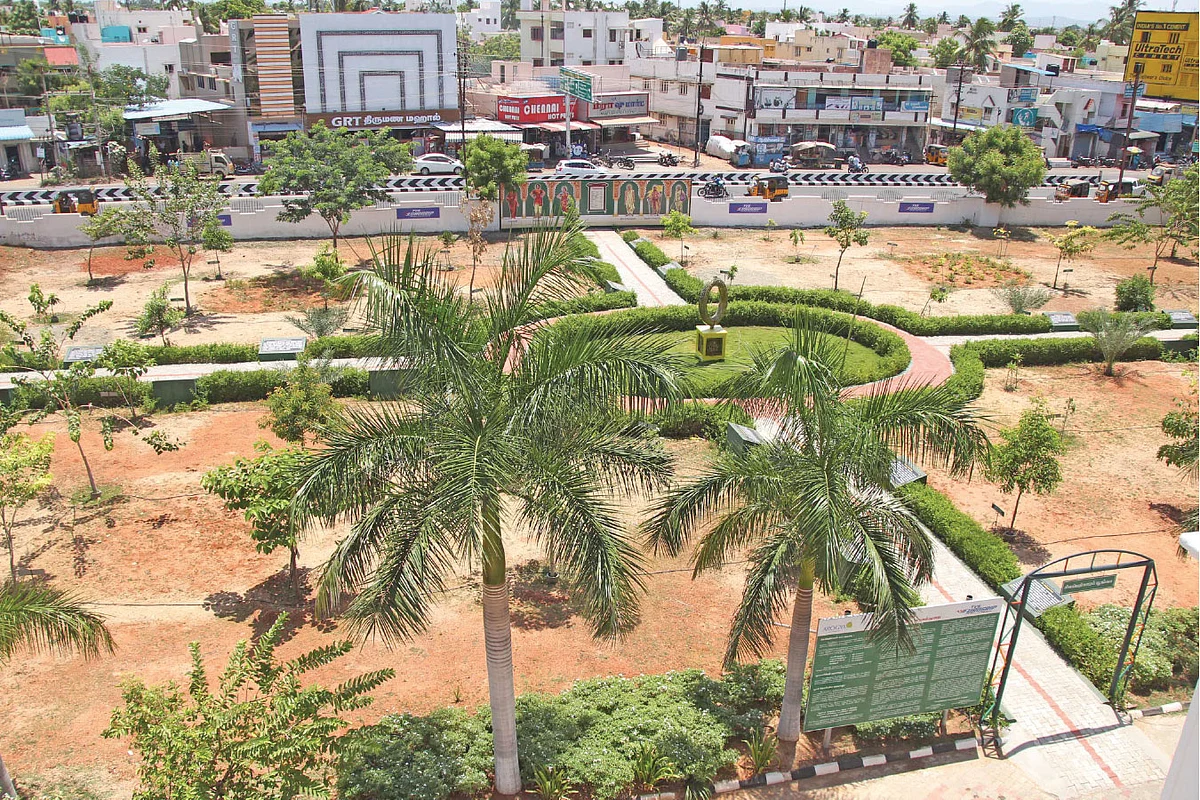 மரங்கள் வளர்க்கப்பட்டு வரும் இடம்