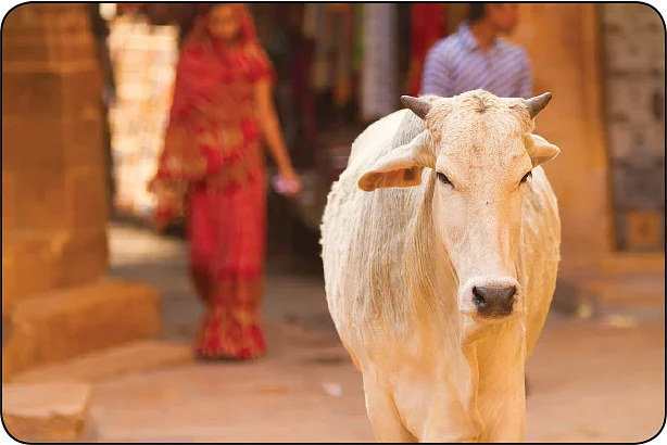 ரங்க ராஜ்ஜியம் - 56