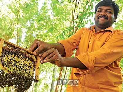 ஆண்டுக்கு ரூ.11 லட்சம்... இனிப்பான லாபம் கொட்டும் தேனீ வளர்ப்பு!