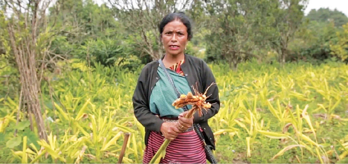 மஞ்சளுடன் சாயோ