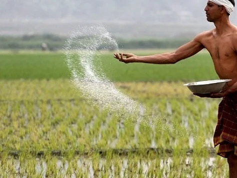 டி.ஏ.பி உரத்துக்கு மாற்றாக நம்மாழ்வார் சொல்லிய சூப்பர் தீர்வு! அரசு பரிசீலிக்குமா?