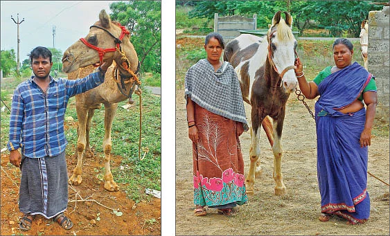 சர்க்கஸ் வீரர்கள், ஆனால் சாப்பாடு கிடைப்பதே சாகசம்!