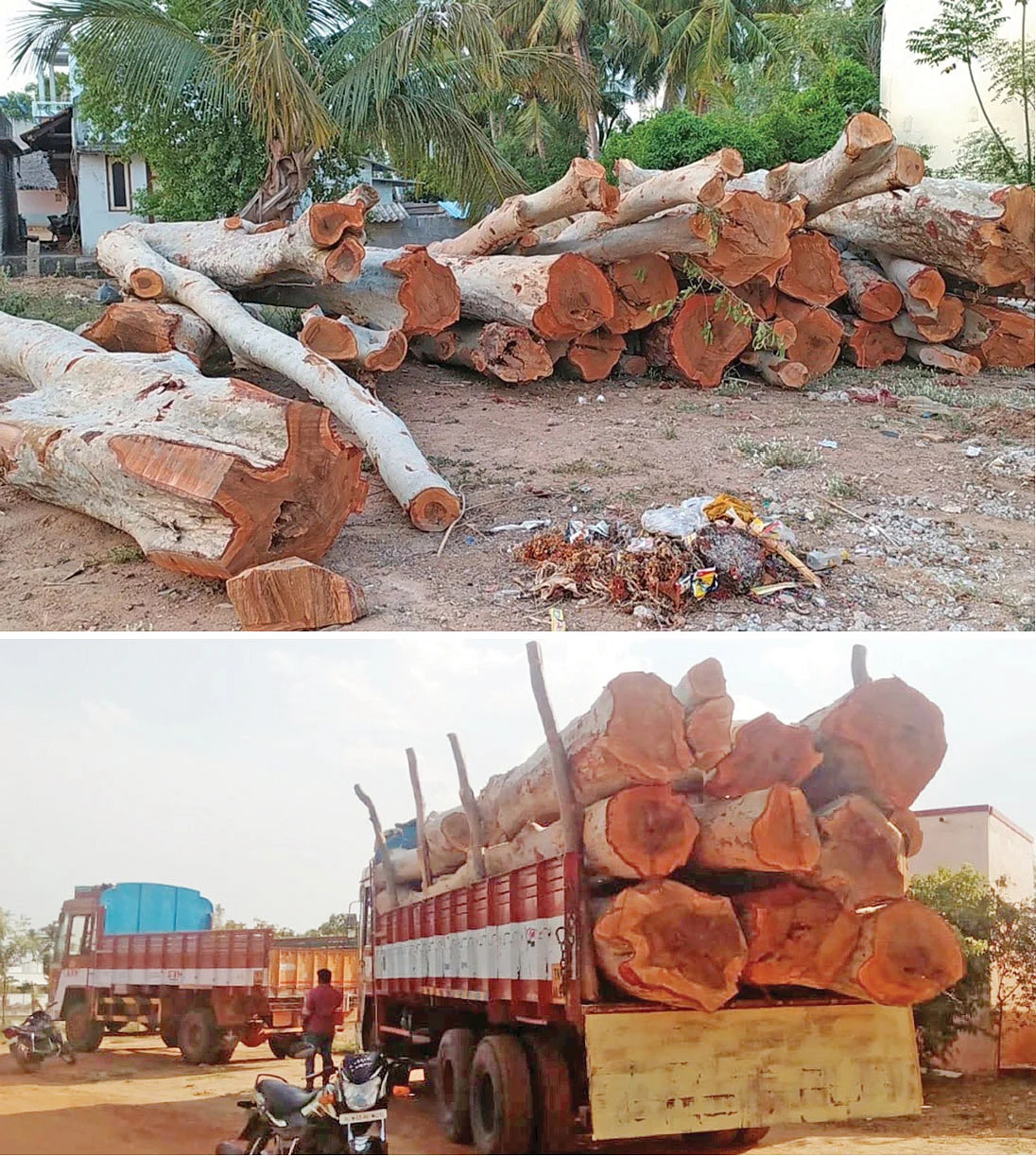 கல்லணைக் கால்வாய்க்கு ஆபத்து!