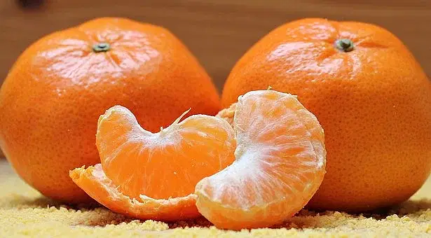 Fruits
