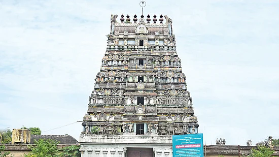 நாரதர் உலா