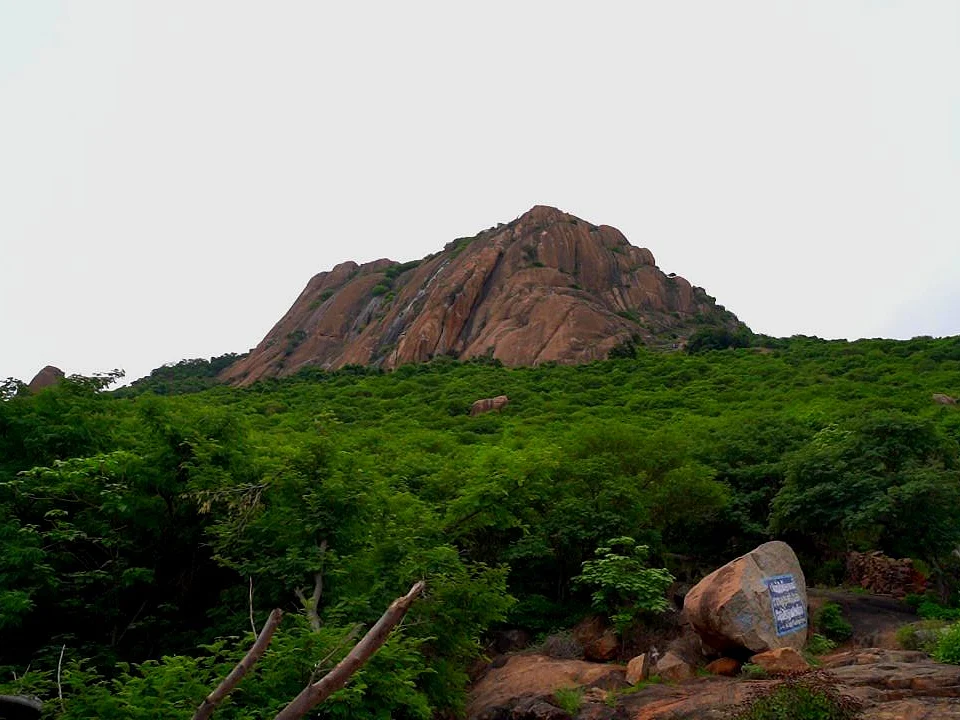பிரான்மலை: `வரலாற்றுச் சிறப்புமிக்க இடம்!’ - கல்குவாரியால் சிதைக்கப்படும் பாரி ஆண்ட மலை?