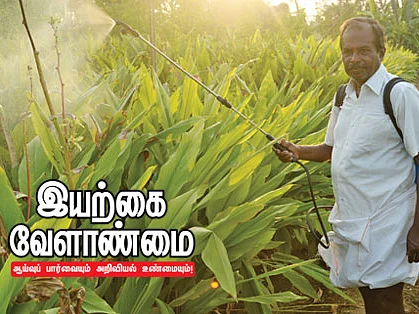 இயற்கை வேளாண்மை : 10 - பயிர்களின் காவலன் பஞ்சகவ்யா...