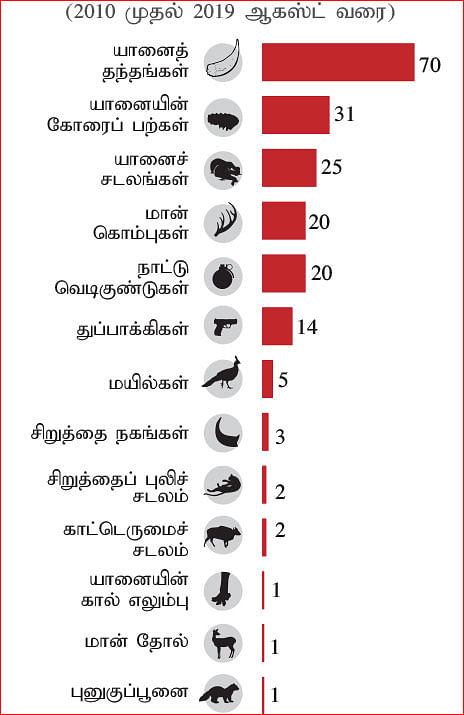 ஓசூர் வனக்கோட்டத்தில் கைப்பற்றப்பட்டவை!