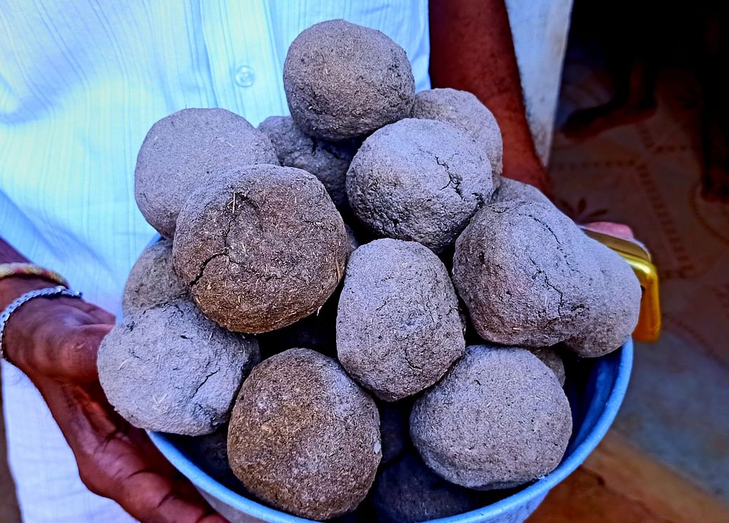 விபூதிக்கு சாண உருண்டை