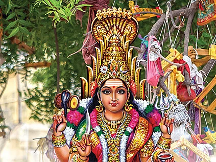 வினைகள் தீர்க்கும் வேம்பு!