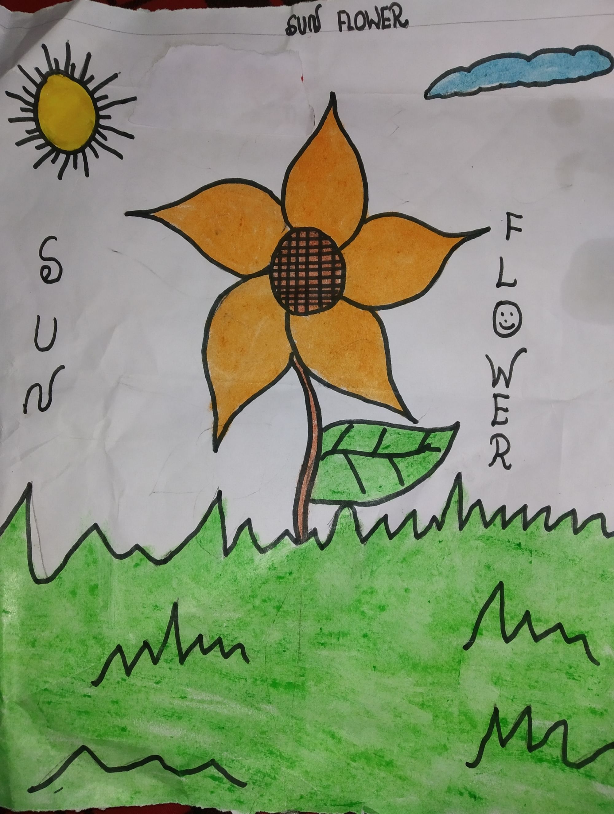 Learn to Draw a Sunflower | Dibujos fáciles, Dibujos sencillos, Dibujo paso  a paso