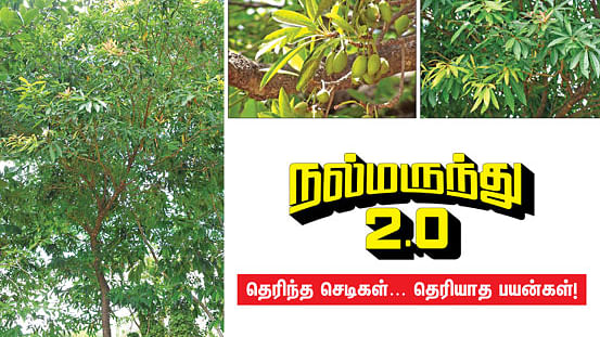 நல்மருந்து 2.0