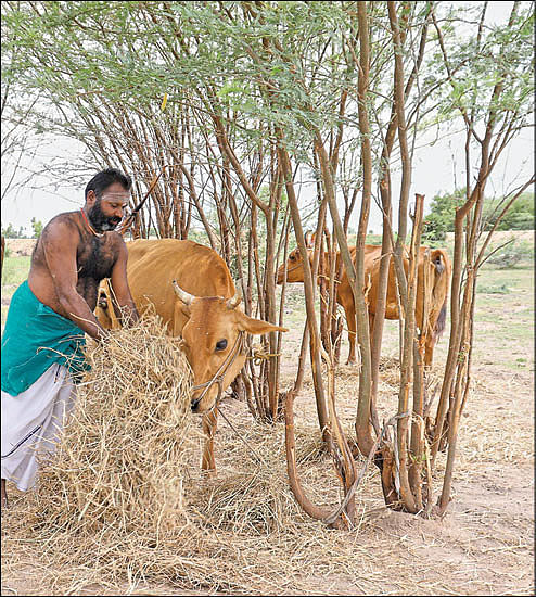 புண்ணிய புருஷர்கள் - 30: 'எல்லாமே ஈசன் கொடுத்தவை!'