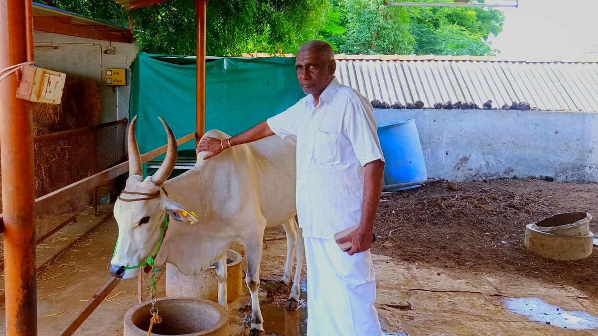 காங்கேயத்துடன் சம்பத்