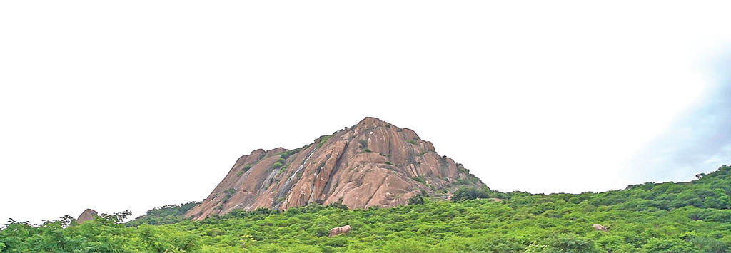 பிரான்மலைக்கு பேராபத்து!
