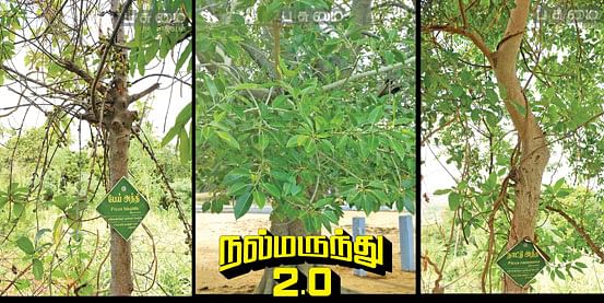 நல்மருந்து