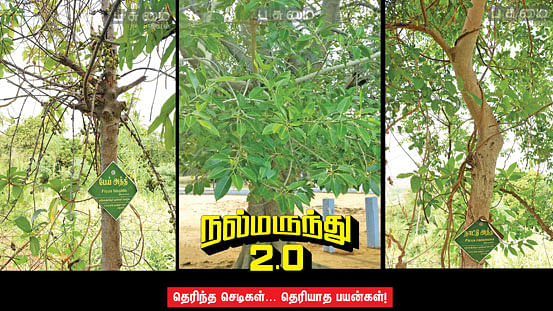 நல்மருந்து