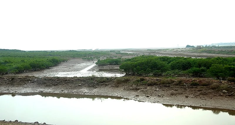 சதுப்பு நிலப் பகுதி, வியட்நாம்