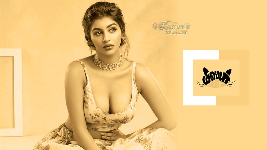 மிஸ்டர் மியாவ்