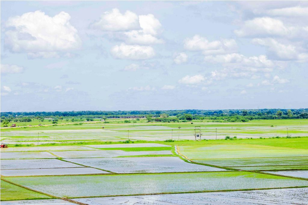 விவசாய மண்டலம்