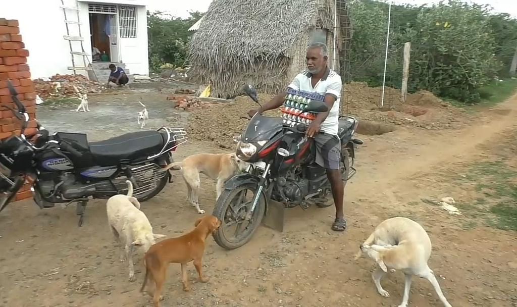 தான் பராமரிக்கும் நாய்களுடன் தன்சேகர்