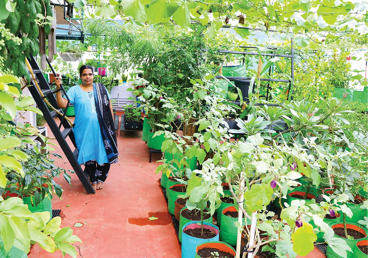 யோகலட்சுமி