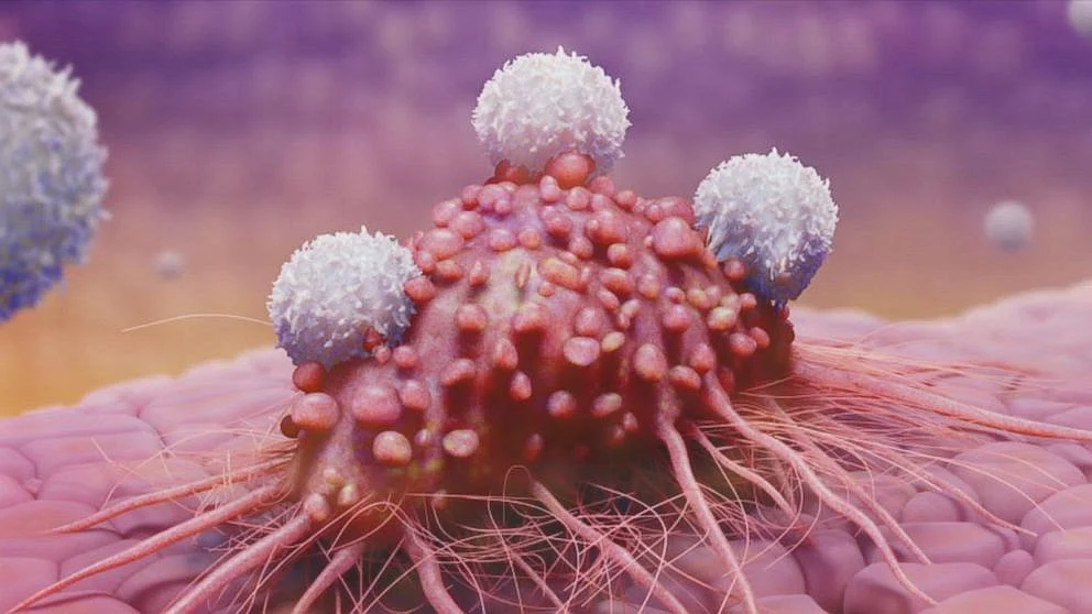 cancer cells
