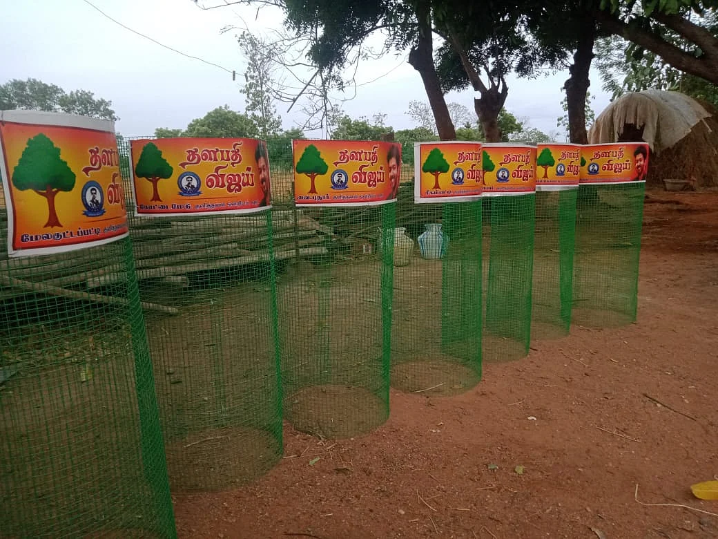 வலைகூண்டுகள்
