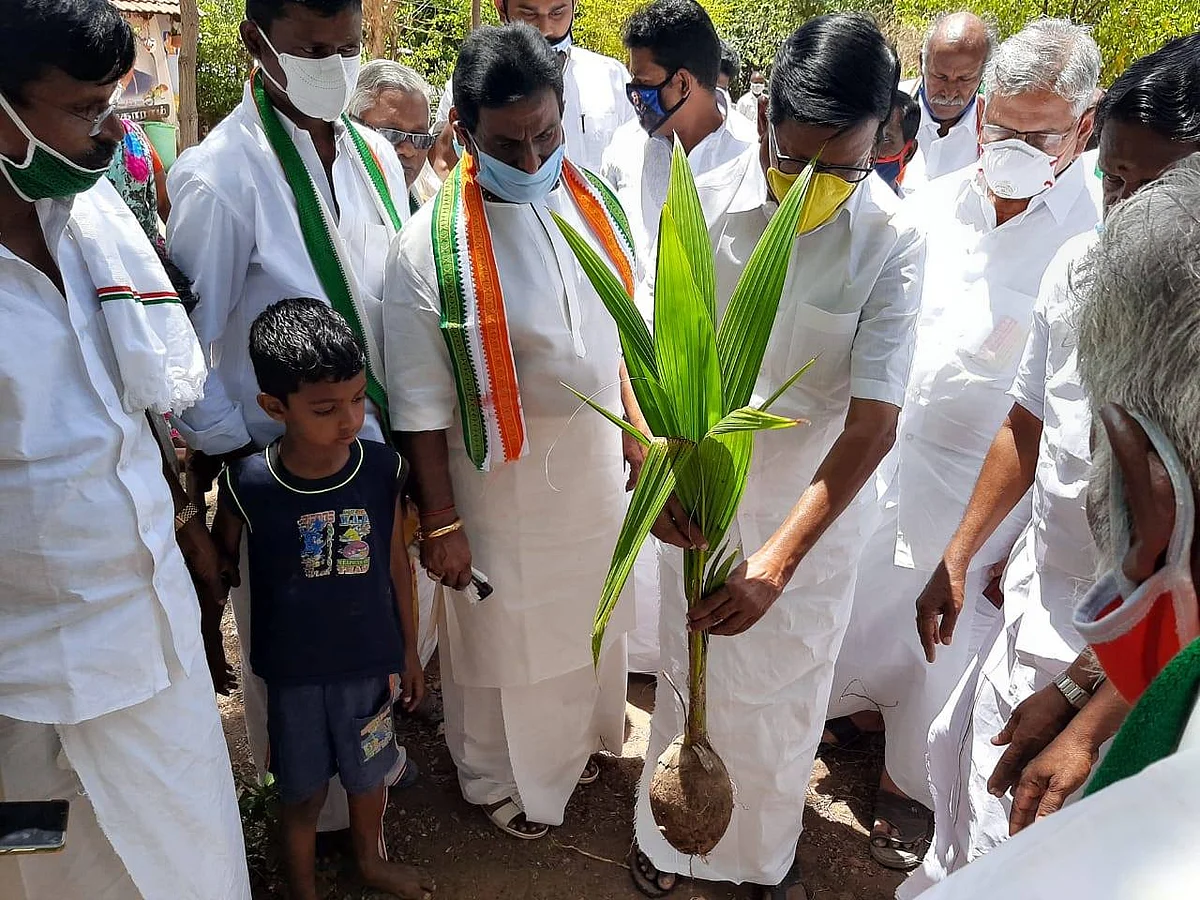 மரம் நடும் விழாவில் கே.எஸ்.அழகிரி