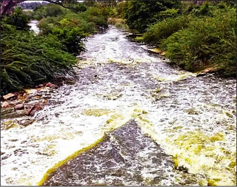 நியூஸ் காக்டெயில்
