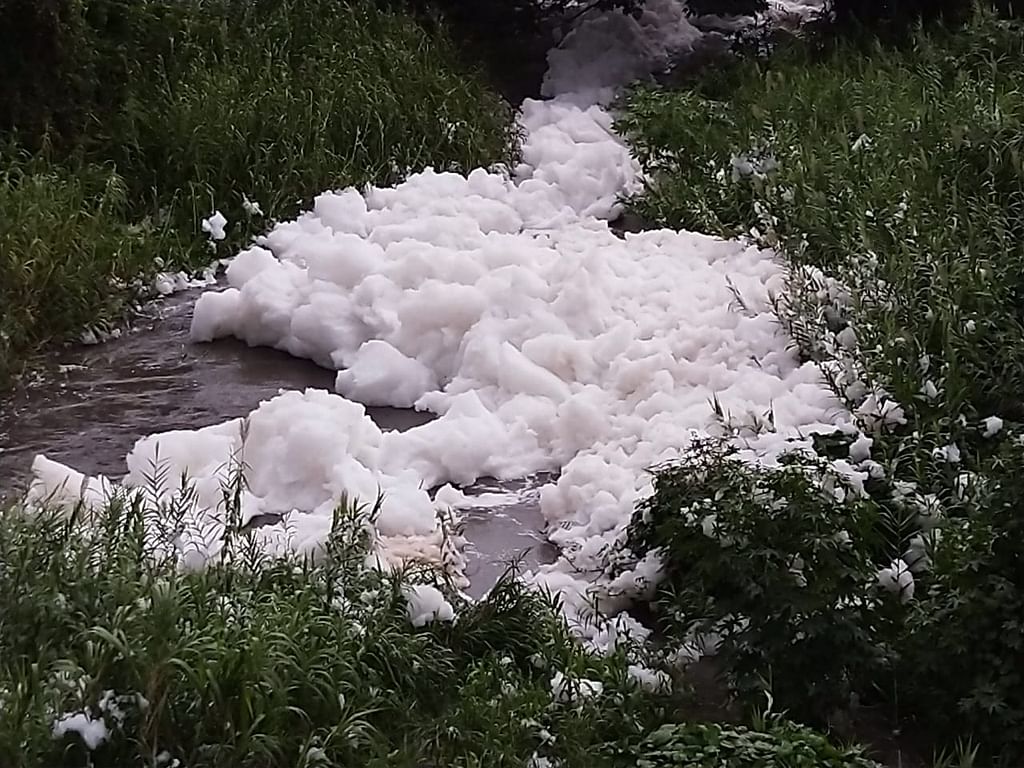 நொய்யல் நுரை