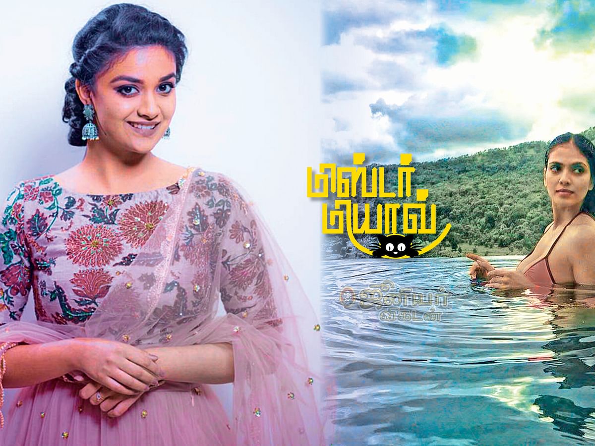மிஸ்டர் மியாவ்