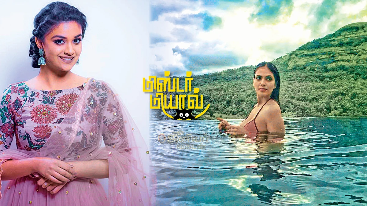 மிஸ்டர் மியாவ்