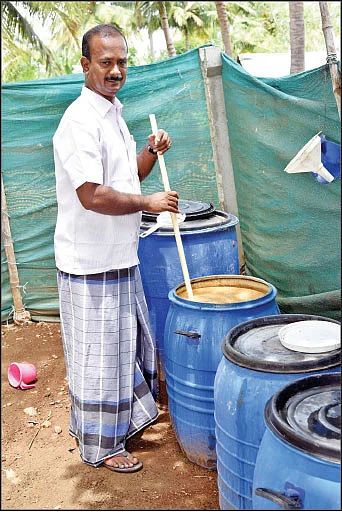 3 ஏக்கர்... ஆண்டுக்கு ரூ. 5,25,000 வருமானம்! - முருங்கை இலையில் முத்தான லாபம்!