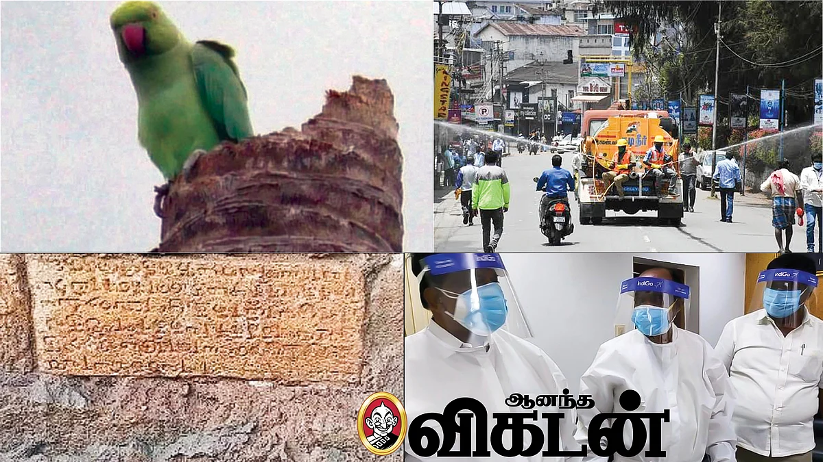 நியூஸ் காக்டெயில்