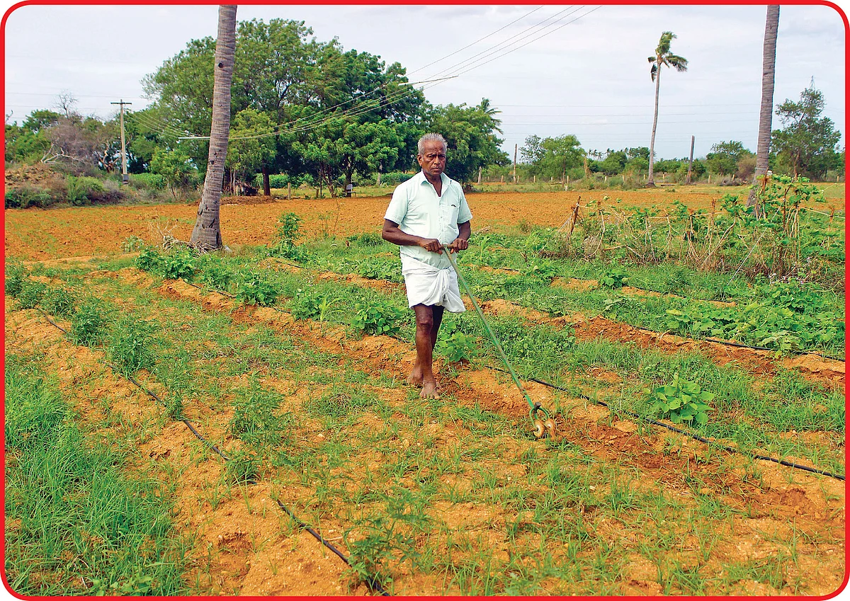 வயலில் களையெடுக்கும் கருவியுடன் துரைசாமி