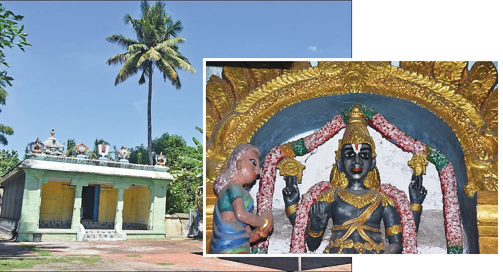 அலமேலு பாட்டியும் வாழைப்பழ பெருமாளும்!