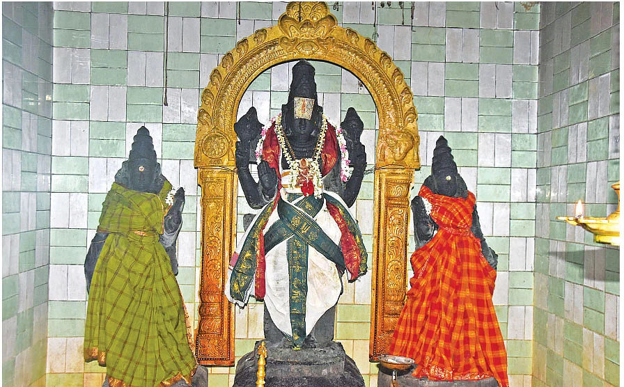 அலமேலு பாட்டியும் வாழைப்பழ பெருமாளும்!