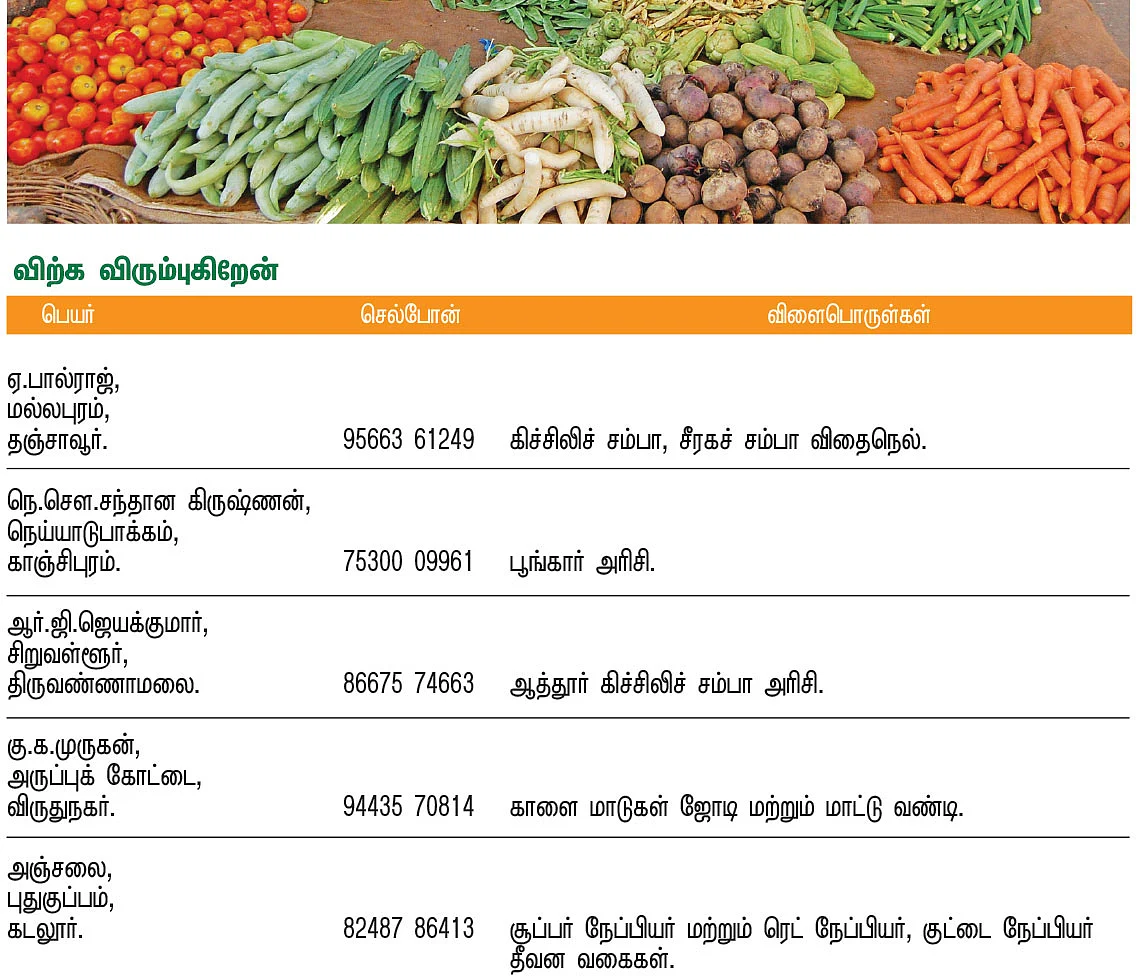 பசுமை சந்தை