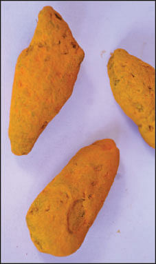 முட்டா மஞ்சள்