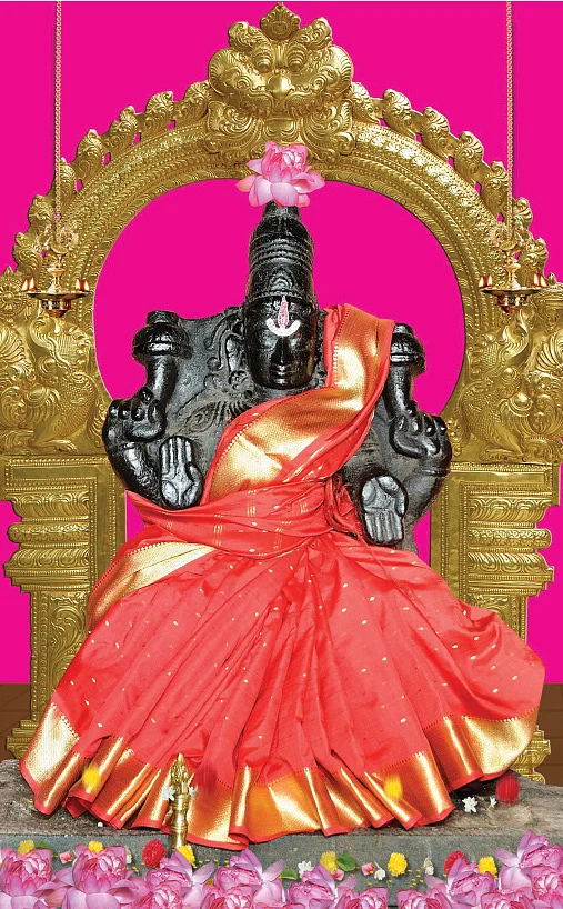 தென்னாட்டு திருப்பதிகள்! - தாமரை மலரில் தோன்றிய பெருமாள்!