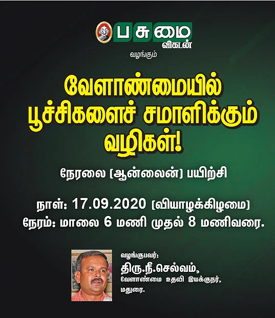 இயற்கைச் சான்றிதழ் வழங்கும் சிலந்தி!